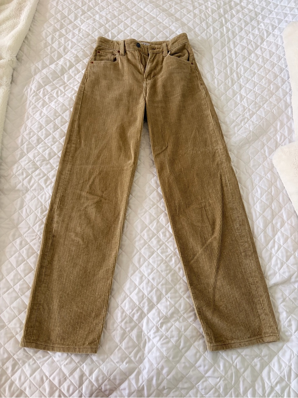 Motel Rocks Wide-Leg Corduroy Pants in Tan - Picture 2 of 3